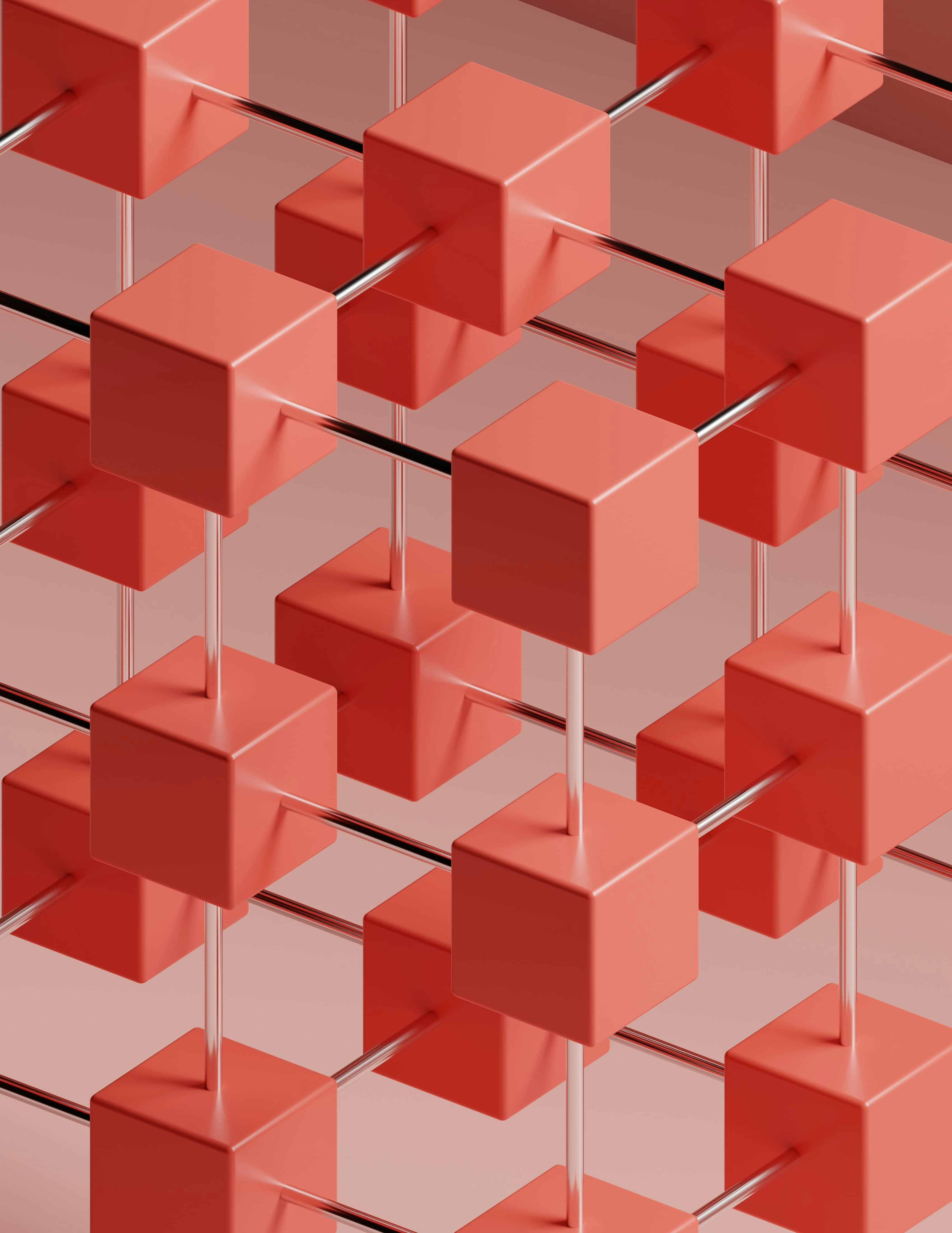 Organization Management